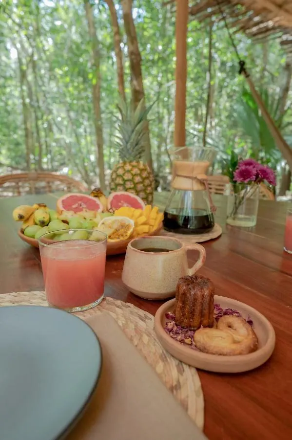 Naum - Secluded Villa With Private Cenote Tulum 0*,