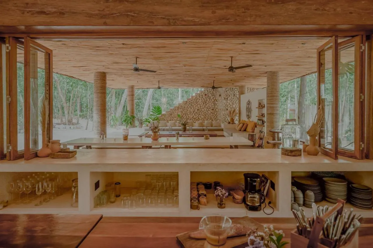 Naum - Secluded Villa With Private Cenote Tulum