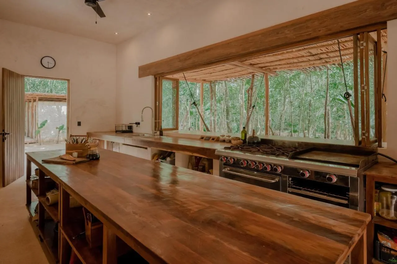 Naum - Secluded Villa With Private Cenote Tulum México