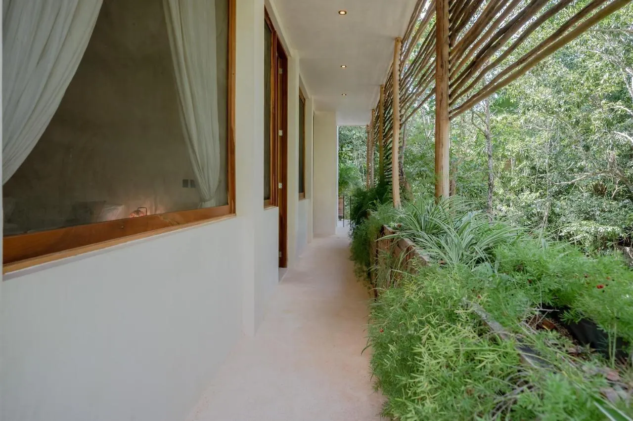 Naum - Secluded Villa With Private Cenote Tulum