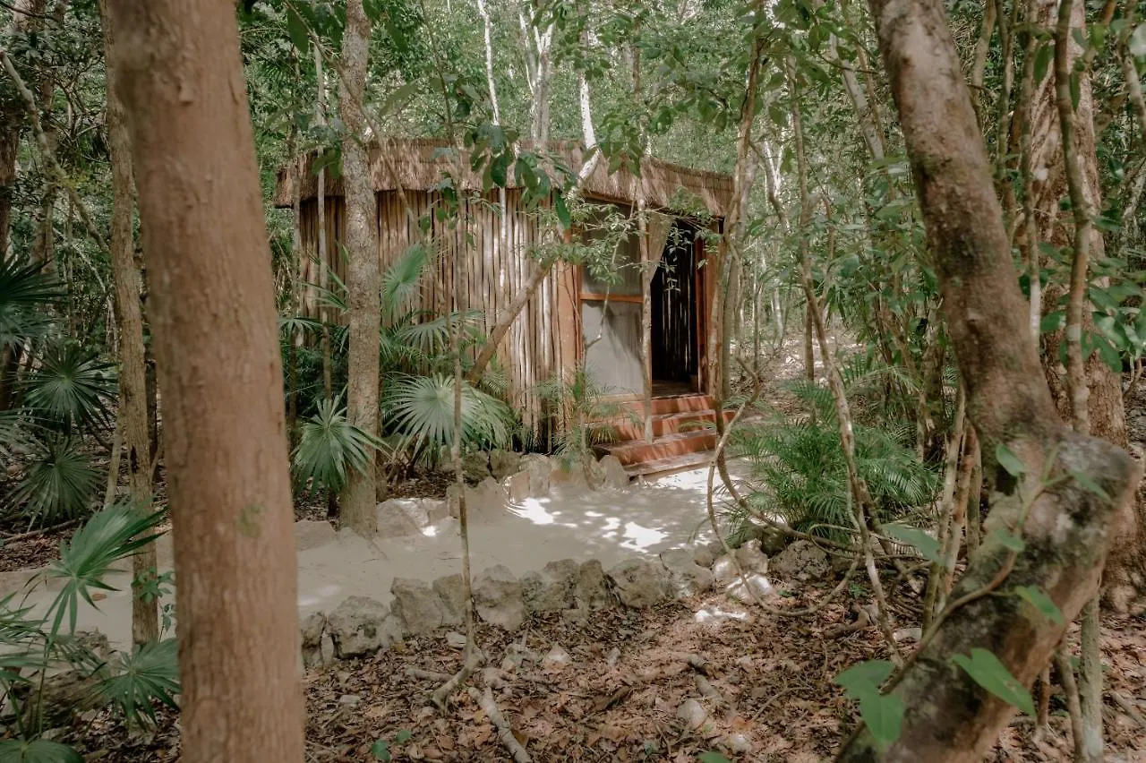 Naum - Secluded Villa With Private Cenote Tulum