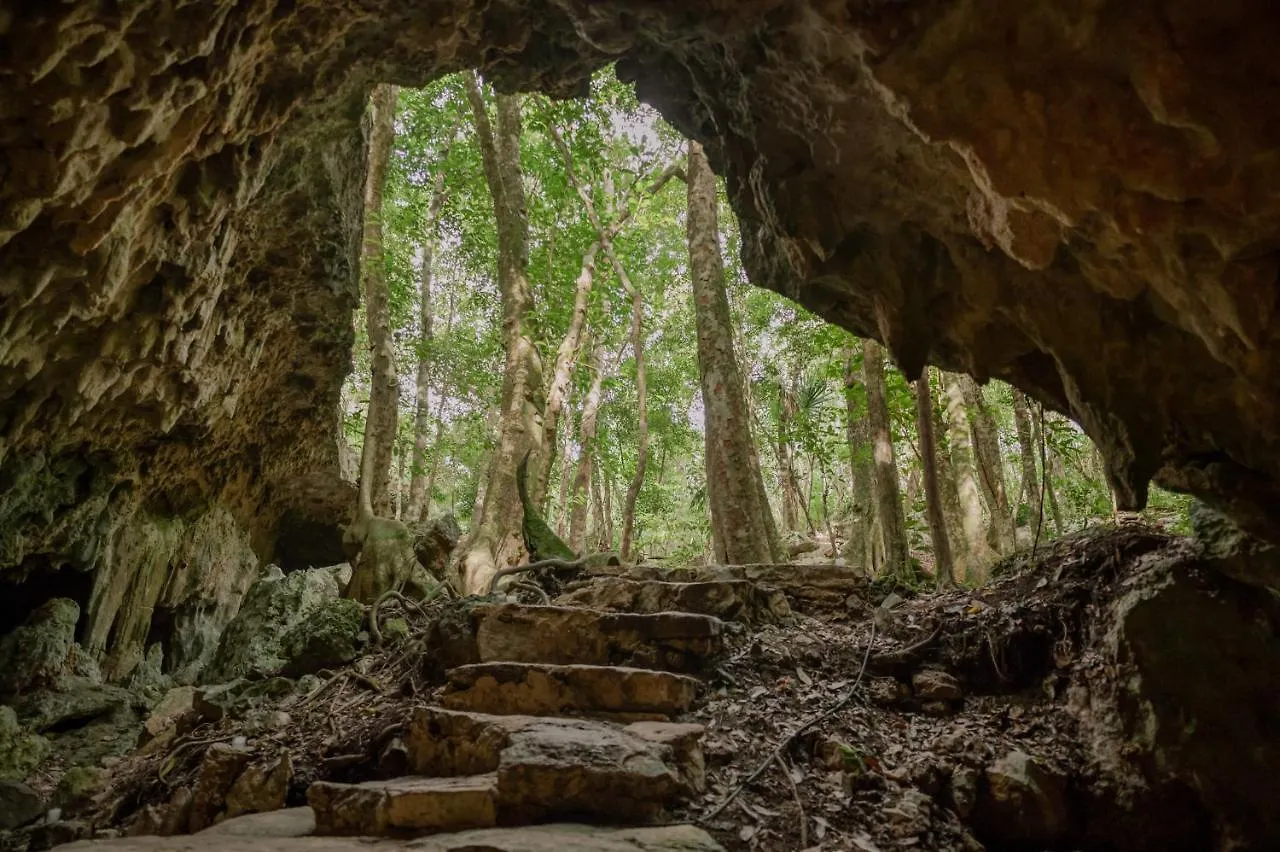 Naum - Secluded Villa With Private Cenote Tulum 0*,  México