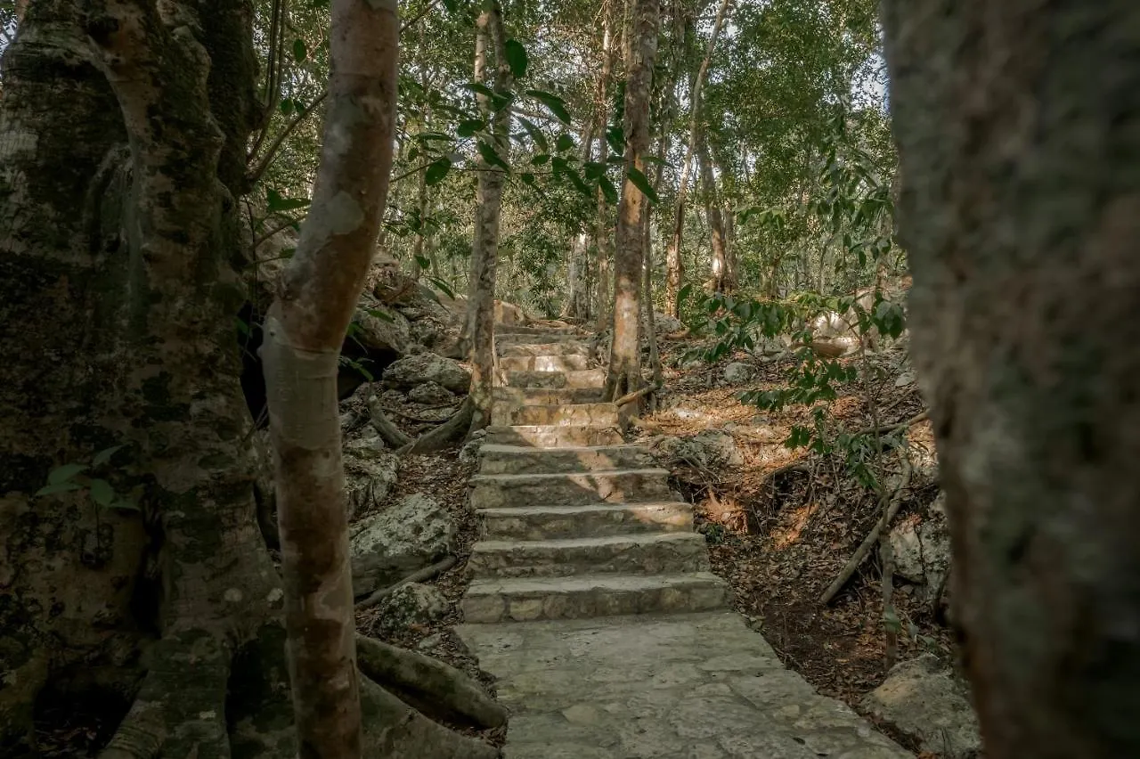 Naum - Secluded Villa With Private Cenote Tulum