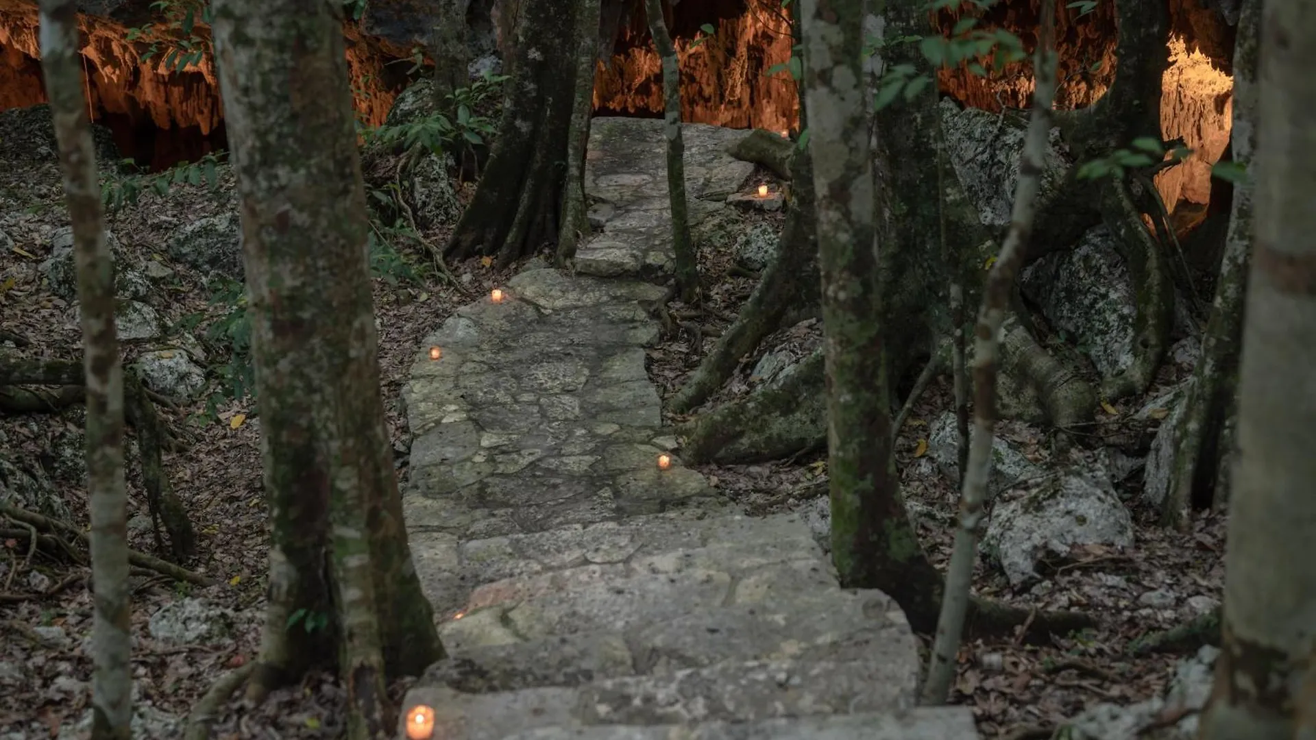 Naum - Secluded Villa With Private Cenote Tulum México
