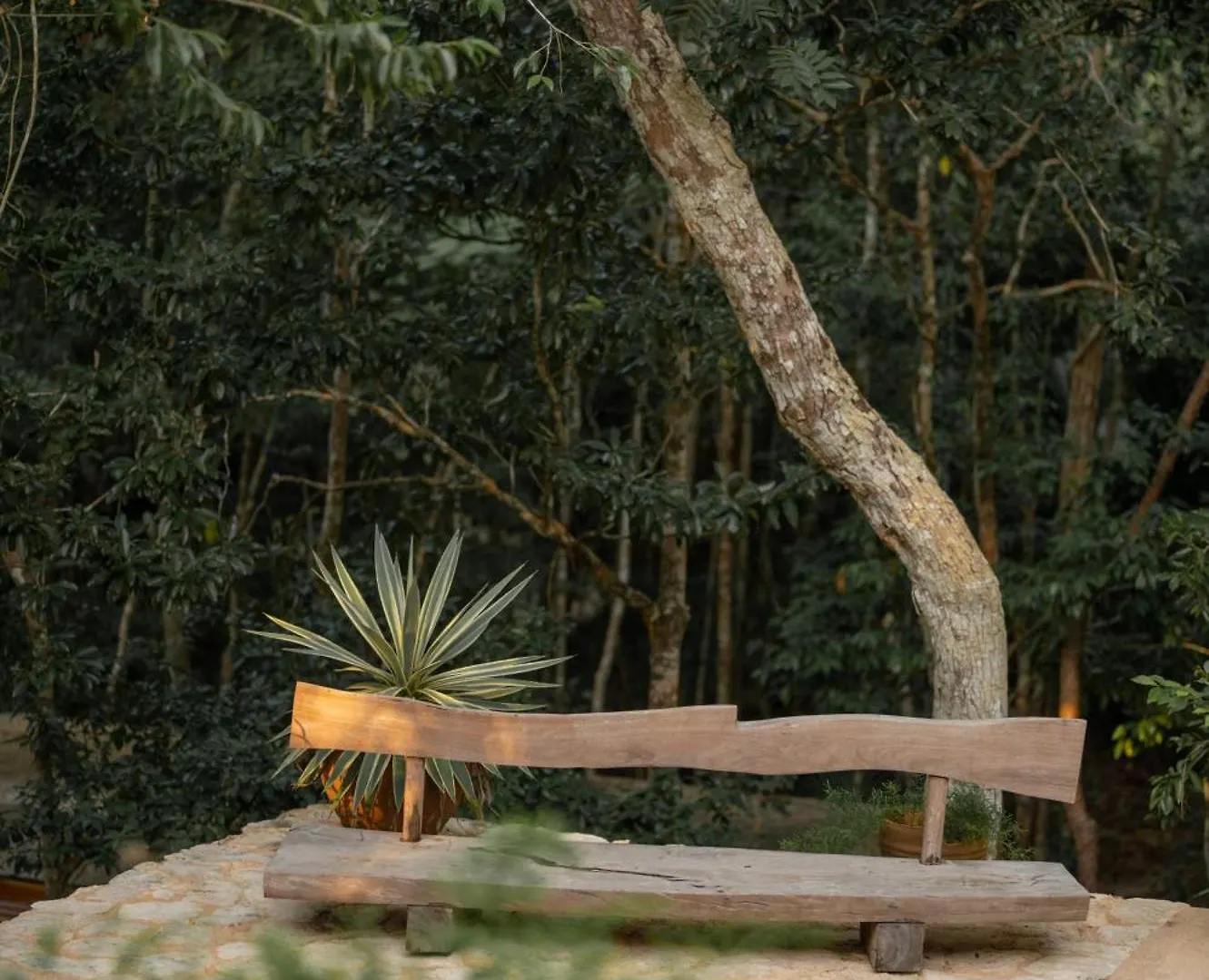 Naum - Secluded Villa With Private Cenote Tulum México