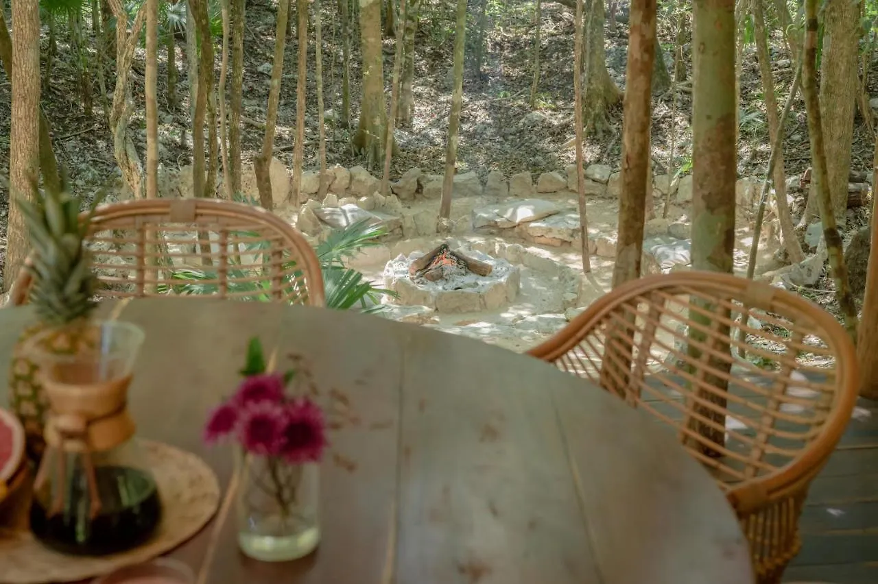Naum - Secluded Villa With Private Cenote تولوم