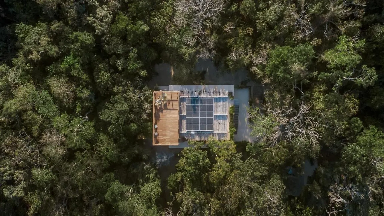 Naum - Secluded Villa With Private Cenote تولوم