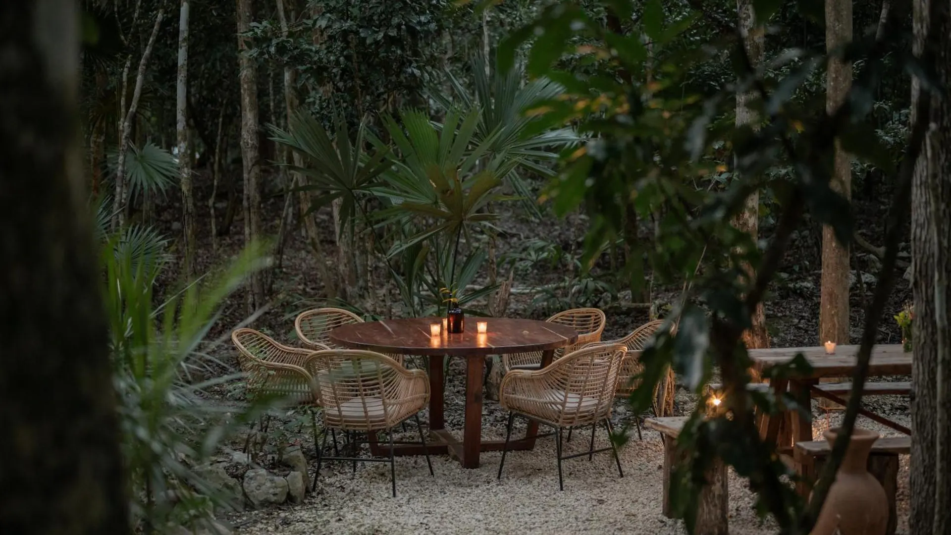 Naum - Secluded Villa With Private Cenote تولوم