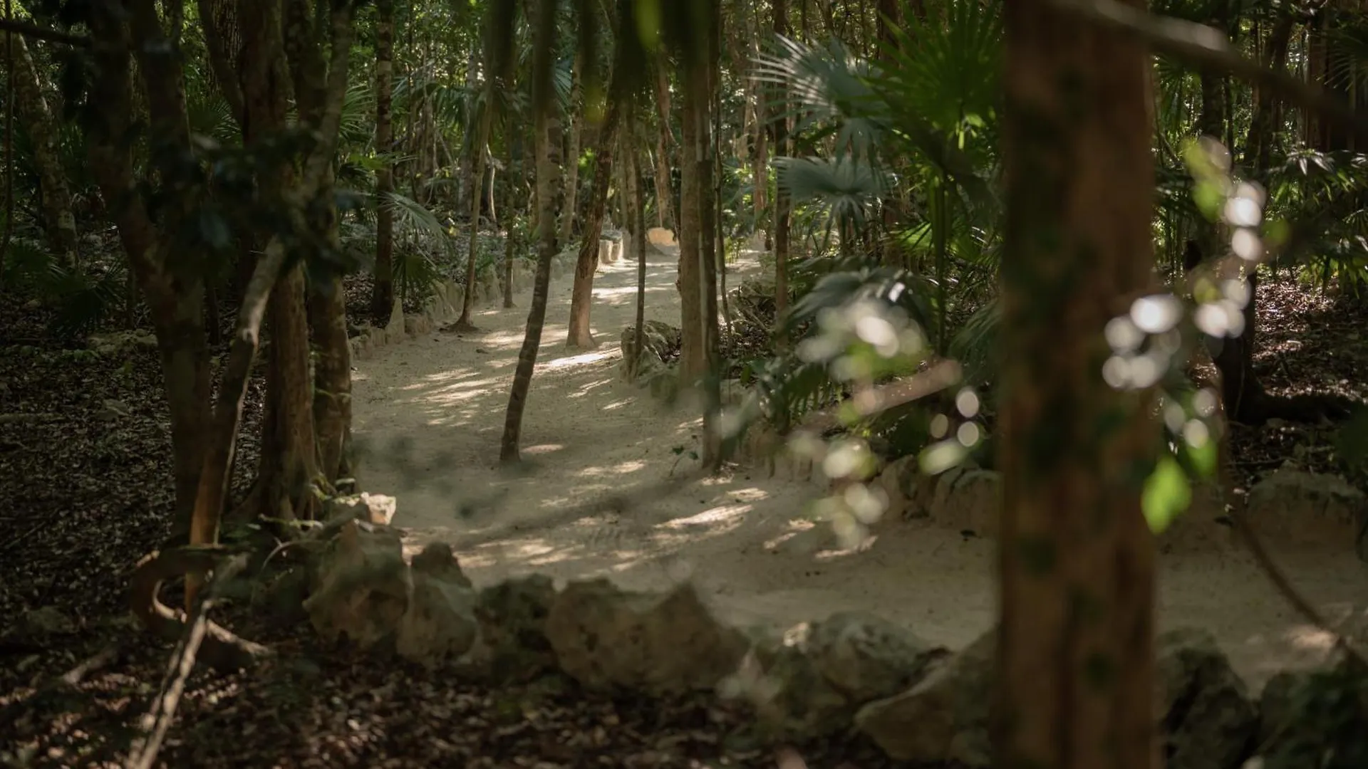 Naum - Secluded Villa With Private Cenote تولوم 0*,